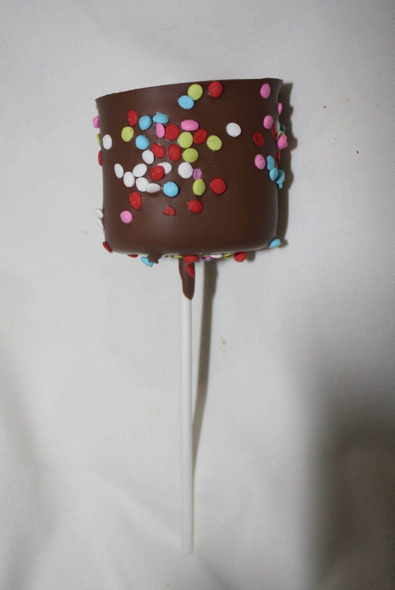 Marshmallow on stick Custom Chocolates in the Kawarthas